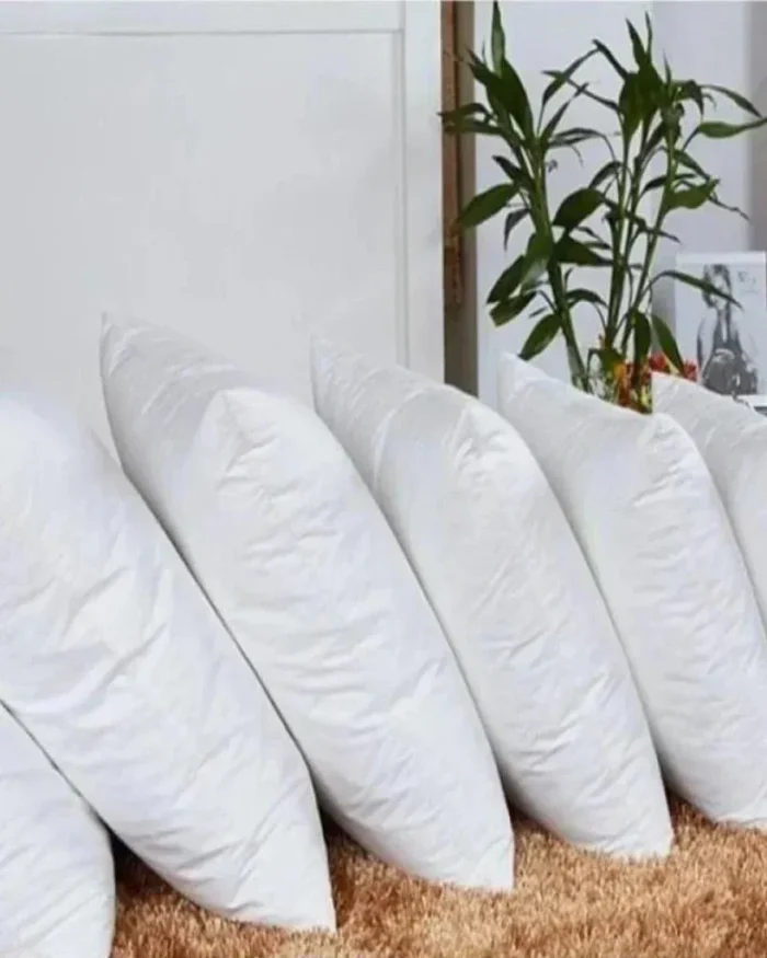 Filled Cushions Set - 5 Pcs